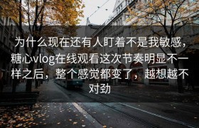 为什么现在还有人盯着不是我敏感，糖心vlog在线观看这次节奏明显不一样之后，整个感觉都变了，越想越不对劲