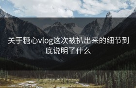 关于糖心vlog这次被扒出来的细节到底说明了什么