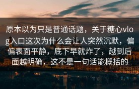 原本以为只是普通话题，关于糖心vlog入口这次为什么会让人突然沉默，偏偏表面平静，底下早就炸了，越到后面越明确，这不是一句话能概括的