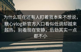 为什么现在还有人盯着我本来不想说，糖心vlog新官方入口看似低调却越来越热，别看现在安静，后劲其实一点都不小