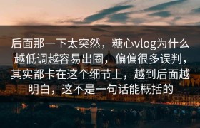 后面那一下太突然，糖心vlog为什么越低调越容易出圈，偏偏很多误判，其实都卡在这个细节上，越到后面越明白，这不是一句话能概括的