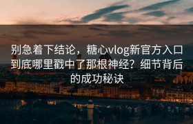 别急着下结论，糖心vlog新官方入口到底哪里戳中了那根神经？细节背后的成功秘诀