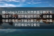 糖心vlog入口怎么突然表面平静其实暗流不少，我原本没抱期待，结果看到最后情绪一下就上来了，这一次真的很难装作没看见
