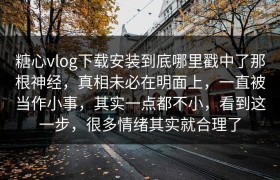 糖心vlog下载安装到底哪里戳中了那根神经，真相未必在明面上，一直被当作小事，其实一点都不小，看到这一步，很多情绪其实就合理了
