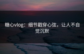 糖心vlog：细节戳穿心弦，让人不自觉沉默