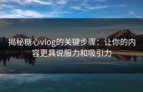 揭秘糖心vlog的关键步骤：让你的内容更具说服力和吸引力