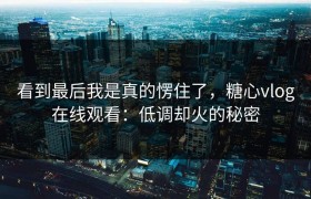 看到最后我是真的愣住了，糖心vlog在线观看：低调却火的秘密