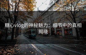 糖心vlog的神秘魅力：细节中的真相揭晓