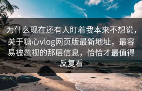 为什么现在还有人盯着我本来不想说，关于糖心vlog网页版最新地址，最容易被忽视的那层信息，恰恰才最值得反复看