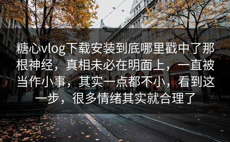 糖心vlog下载安装到底哪里戳中了那根神经，真相未必在明面上，一直被当作小事，其实一点都不小，看到这一步，很多情绪其实就合理了