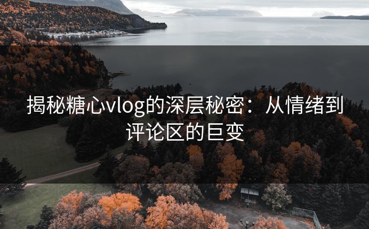 揭秘糖心vlog的深层秘密：从情绪到评论区的巨变