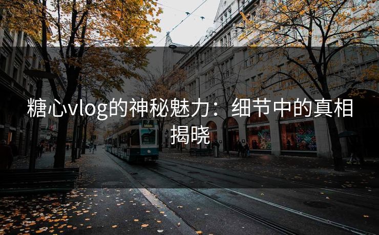 糖心vlog的神秘魅力：细节中的真相揭晓
