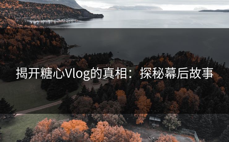 揭开糖心Vlog的真相:探秘幕后故事 揭开糖心Vlog的真相:探秘幕后故事