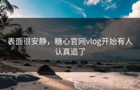表面很安静，糖心官网vlog开始有人认真追了