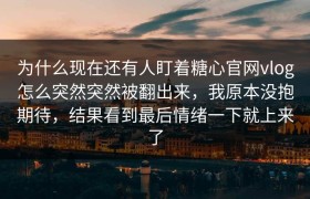 为什么现在还有人盯着糖心官网vlog怎么突然突然被翻出来，我原本没抱期待，结果看到最后情绪一下就上来了