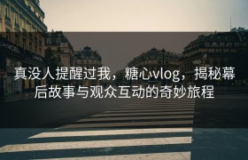 真没人提醒过我，糖心vlog，揭秘幕后故事与观众互动的奇妙旅程