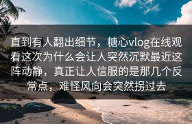 直到有人翻出细节，糖心vlog在线观看这次为什么会让人突然沉默最近这阵动静，真正让人信服的是那几个反常点，难怪风向会突然拐过去
