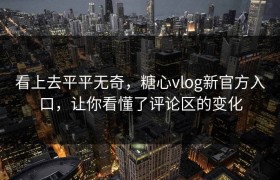 看上去平平无奇，糖心vlog新官方入口，让你看懂了评论区的变化