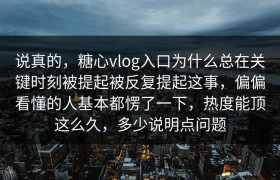 说真的，糖心vlog入口为什么总在关键时刻被提起被反复提起这事，偏偏看懂的人基本都愣了一下，热度能顶这么久，多少说明点问题
