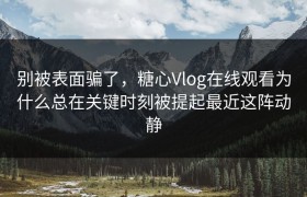别被表面骗了，糖心Vlog在线观看为什么总在关键时刻被提起最近这阵动静