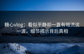 糖心vlog：看似平静却一直有暗流这一波，细节揭示背后真相