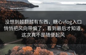 没想到越翻越有东西，糖心vlog入口悄悄把风向带偏了，看到最后才知道，这次真不是随便起风
