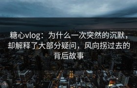 糖心vlog：为什么一次突然的沉默，却解释了大部分疑问，风向拐过去的背后故事