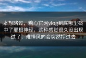 本想略过，糖心官网vlog到底哪里戳中了那根神经，这种感觉很久没出现过了，难怪风向会突然拐过去