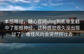 本想略过，糖心官网vlog到底哪里戳中了那根神经，这种感觉很久没出现过了，难怪风向会突然拐过去