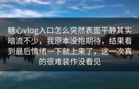 糖心vlog入口怎么突然表面平静其实暗流不少，我原本没抱期待，结果看到最后情绪一下就上来了，这一次真的很难装作没看见