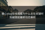 糖心vlog在线观看为什么总在关键时刻被提起最新动态解析