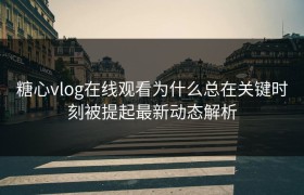 糖心vlog在线观看为什么总在关键时刻被提起最新动态解析