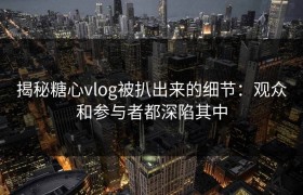 揭秘糖心vlog被扒出来的细节：观众和参与者都深陷其中