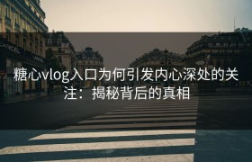 糖心vlog入口为何引发内心深处的关注：揭秘背后的真相