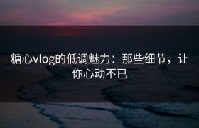糖心vlog的低调魅力：那些细节，让你心动不已