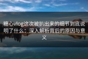 糖心vlog这次被扒出来的细节到底说明了什么：深入解析背后的原因与意义