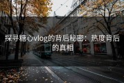 探寻糖心vlog的背后秘密：热度背后的真相