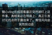 糖心vlog在线观看最近突然被盯上这件事，真相未必在明面上，真正引发讨论的点终于露出来了，难怪风向会突然拐过去