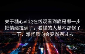 关于糖心vlog在线观看到底是哪一步把情绪拉满了，看懂的人基本都愣了一下，难怪风向会突然拐过去