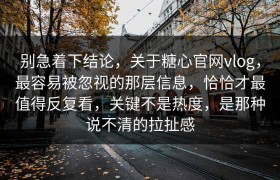 别急着下结论，关于糖心官网vlog，最容易被忽视的那层信息，恰恰才最值得反复看，关键不是热度，是那种说不清的拉扯感