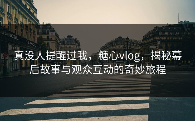 真没人提醒过我，糖心vlog，揭秘幕后故事与观众互动的奇妙旅程