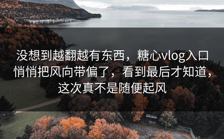 没想到越翻越有东西，糖心vlog入口悄悄把风向带偏了，看到最后才知道，这次真不是随便起风
