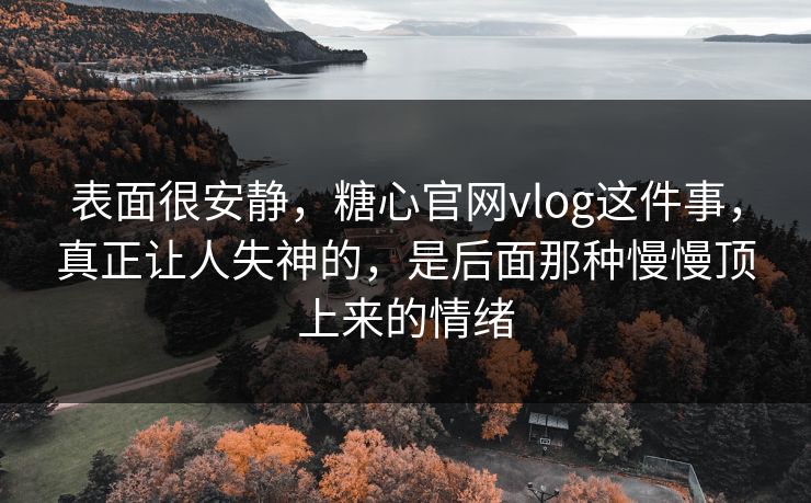 表面很安静，糖心官网vlog这件事，真正让人失神的，是后面那种慢慢顶上来的情绪