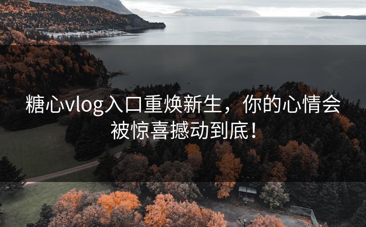 糖心vlog入口重焕新生，你的心情会被惊喜撼动到底！