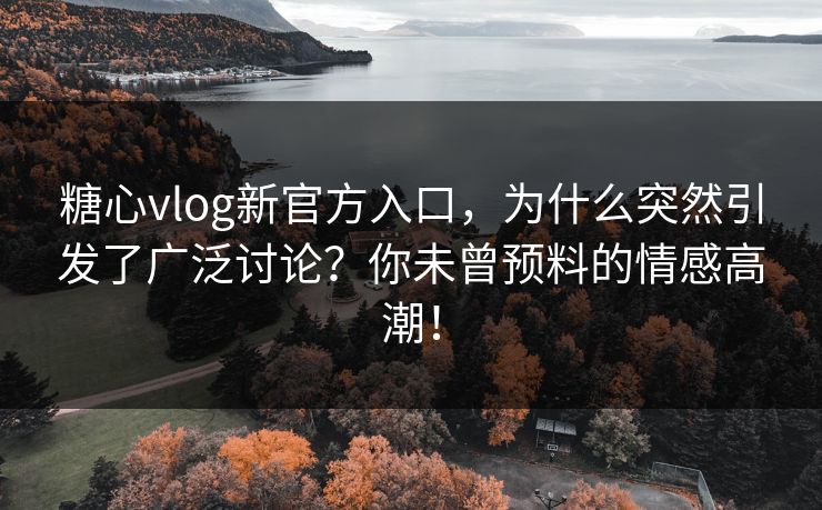 糖心vlog新官方入口，为什么突然引发了广泛讨论？你未曾预料的情感高潮！