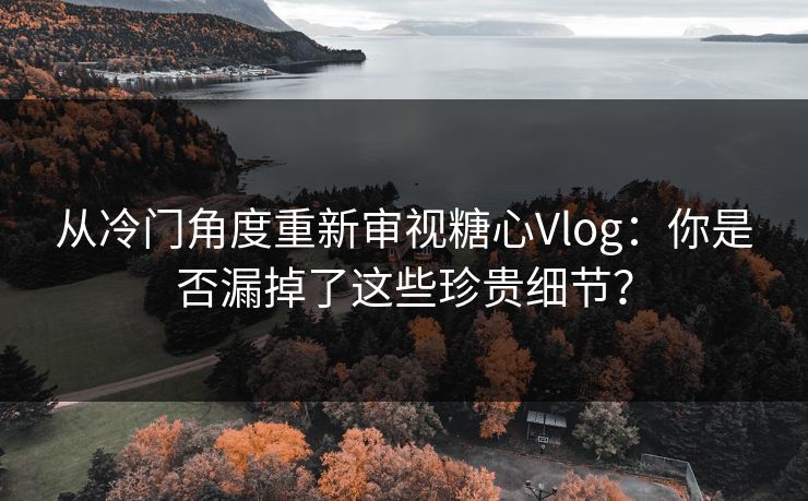 从冷门角度重新审视糖心Vlog：你是否漏掉了这些珍贵细节？