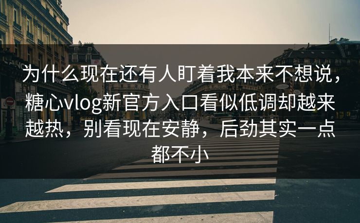 为什么现在还有人盯着我本来不想说，糖心vlog新官方入口看似低调却越来越热，别看现在安静，后劲其实一点都不小