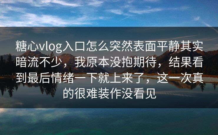 糖心vlog入口怎么突然表面平静其实暗流不少，我原本没抱期待，结果看到最后情绪一下就上来了，这一次真的很难装作没看见