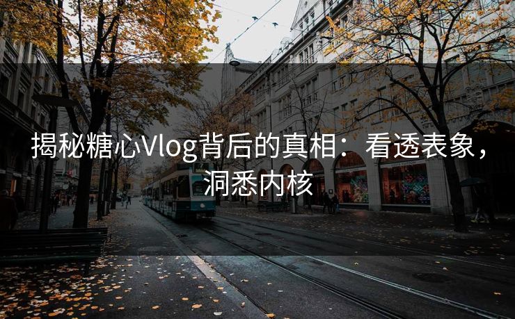揭秘糖心Vlog背后的真相:看透表象,洞悉内核 揭秘糖心Vlog背后的真相:看透表象,洞悉内核